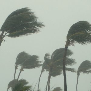 Hurricane George